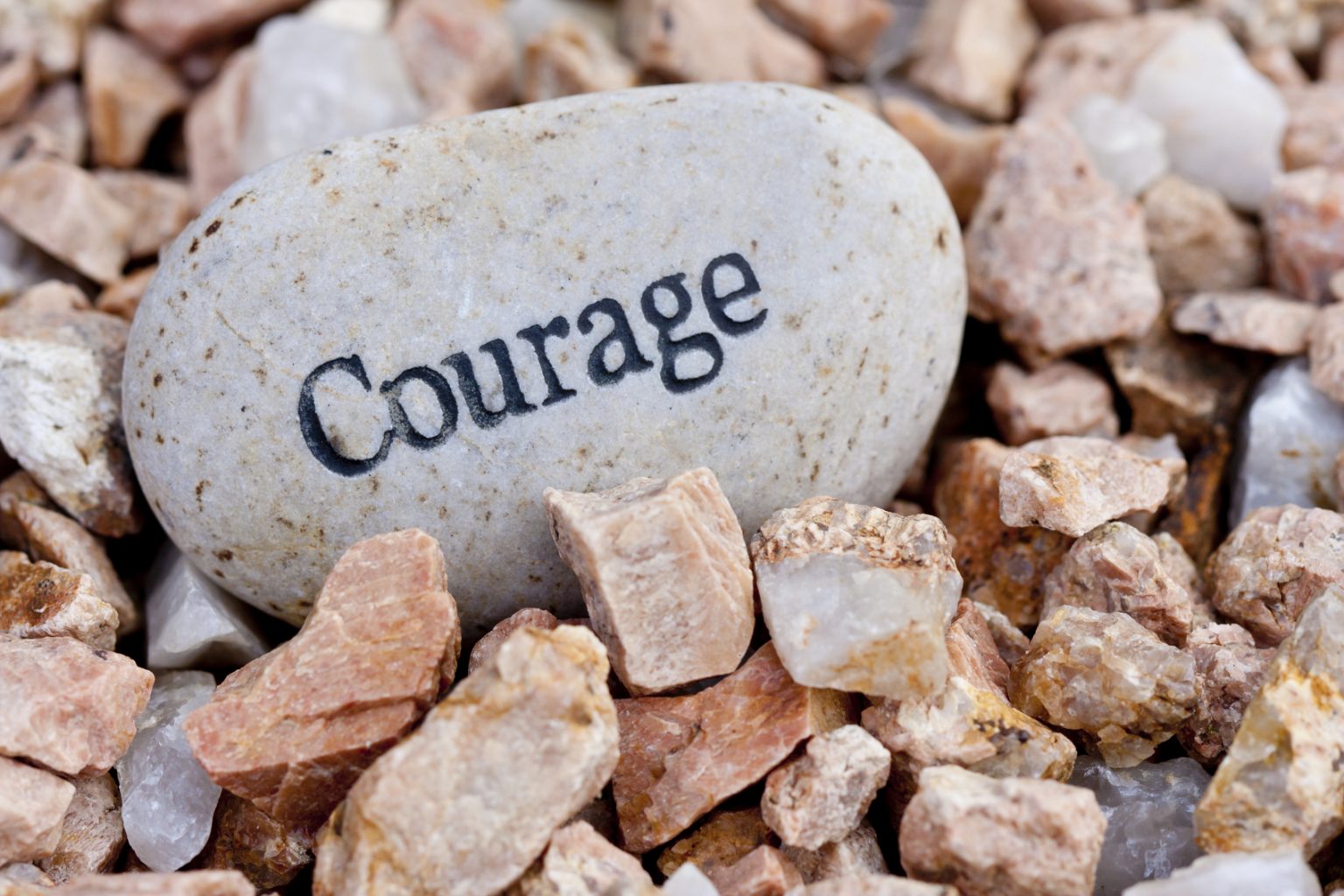 THE POVERTY OF COURAGE