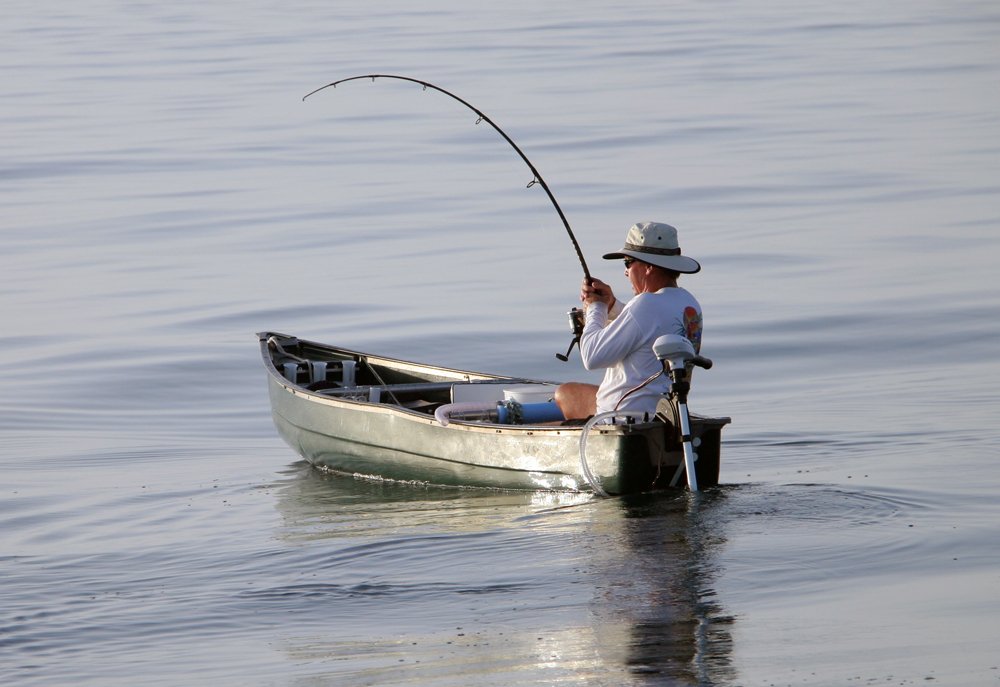 THE PARABLE OF THE FISHLESS FISHERMEN