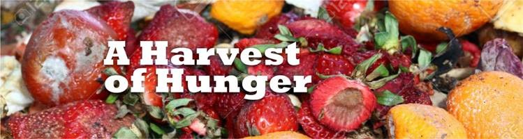 Harvest of Hunger