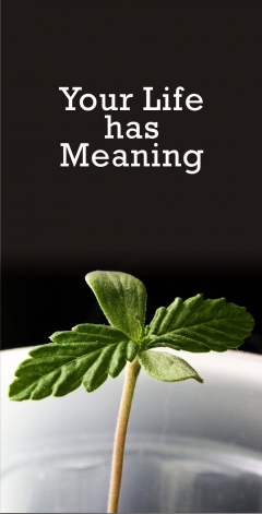 Your Life Has Meaning